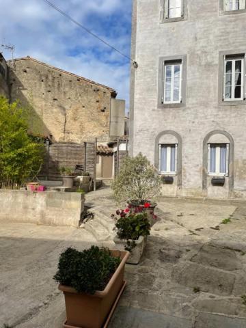 Le Patio Cathare Apartamento Carcassonne Exterior foto